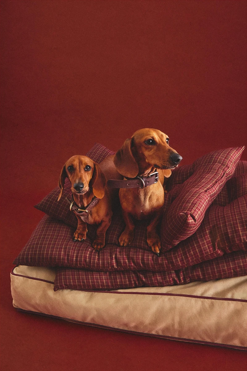 COUSSIN DE SOL À CARREAUX POUR ANIMAUX COMPAGNIE NOËL