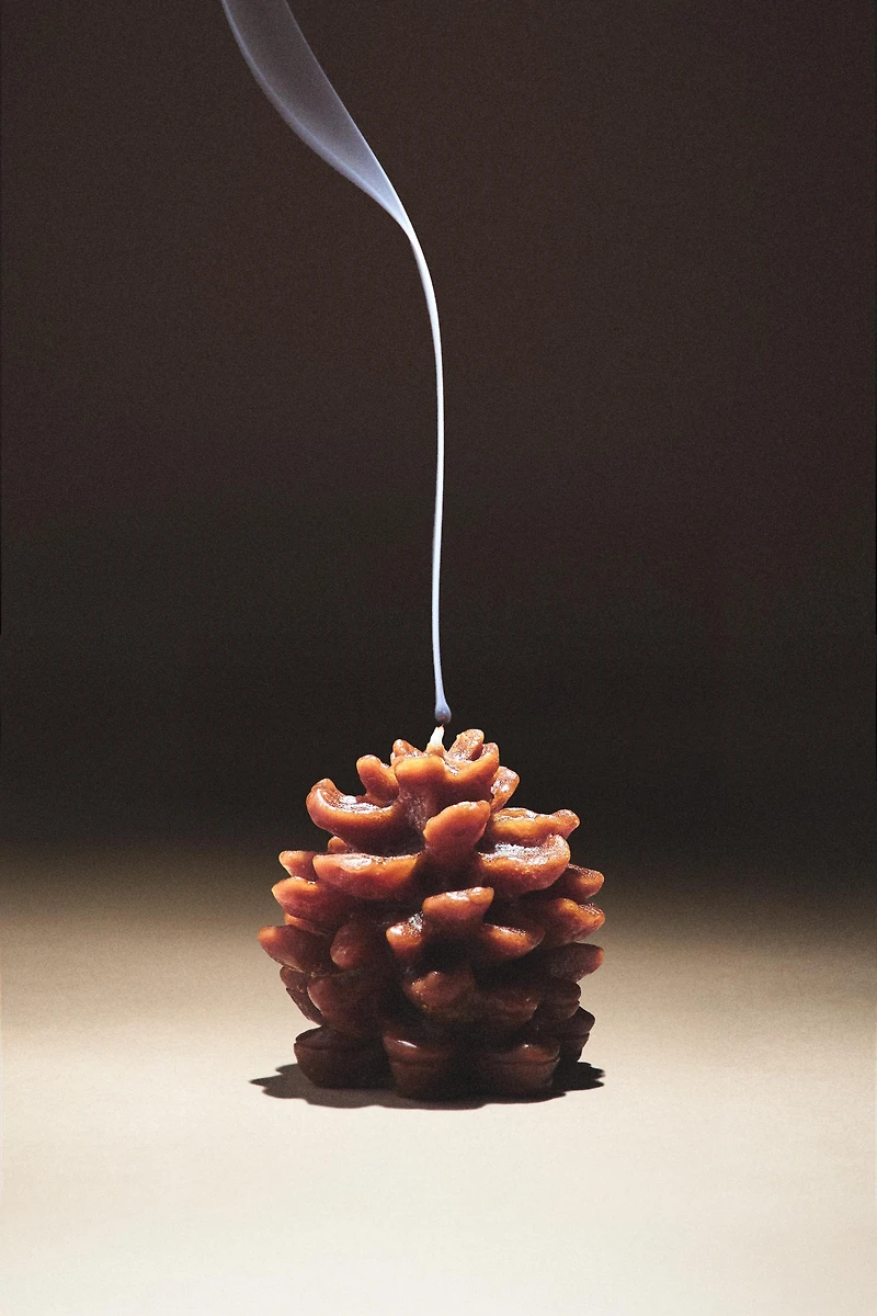 PINE CONE PUMPKIN SPICE SCENTED CANDLE