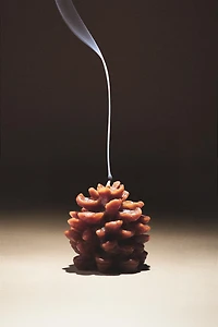 PINE CONE PUMPKIN SPICE SCENTED CANDLE