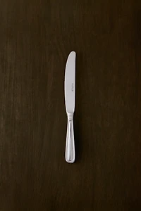 SHINY STEEL DESSERT KNIFE