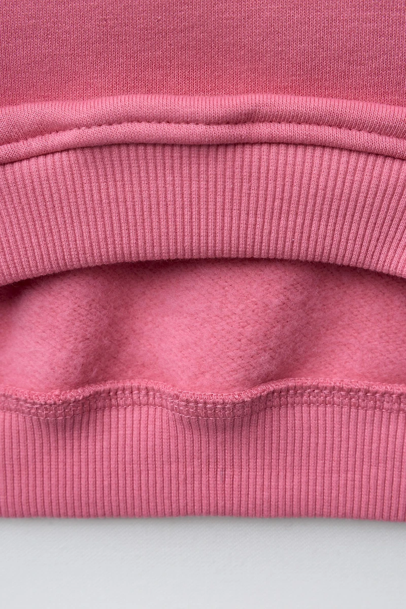 EMBROIDERED CAPYBARA AND HEART SWEATSHIRT