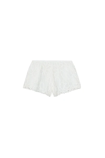 SHORT BRODÉ ZW COLLECTION