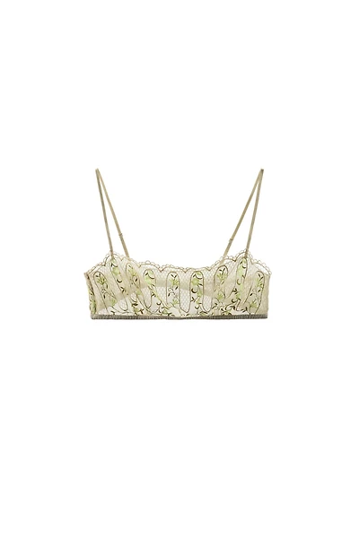 EMBROIDERED FLOWER LACE BANDEAU BRA
