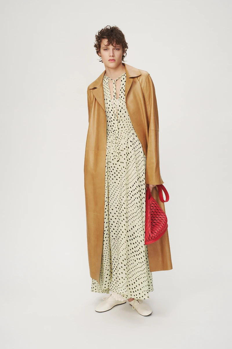 POLKA DOT DRESS - THE ITEM ZARA WOMAN