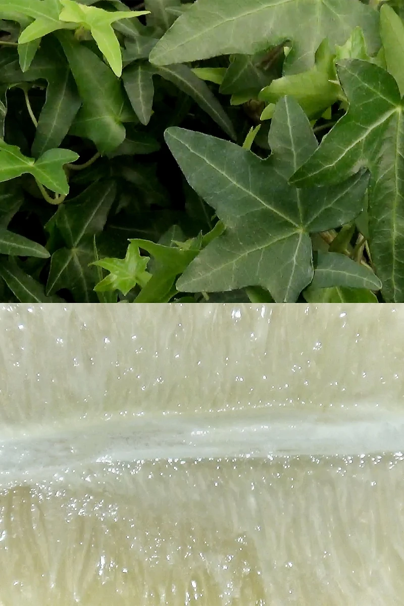 FLEUR DE PATCHOULI EDP 100 ML (3.4 FL. OZ.)