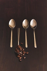 LOT DE CUILLÈRES À DESSERT EN ACIER BRILLANT (LOT DE 4)