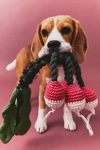 RADISH BOUQUET PET TOY