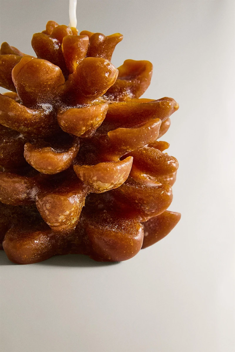 PINE CONE PUMPKIN SPICE SCENTED CANDLE