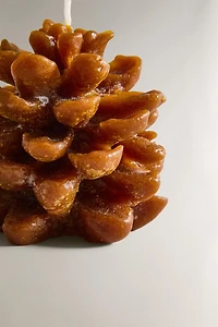 PINE CONE PUMPKIN SPICE SCENTED CANDLE