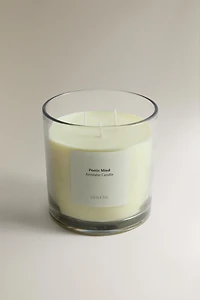 (620 G) BOUGIE PARFUMÉE POETIC MIND