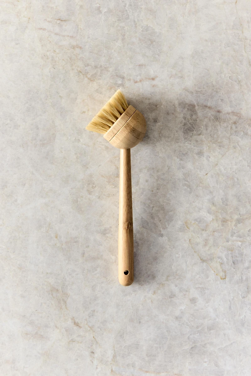 BRUSH WITH INTERCHANGEABLE BRISTLES