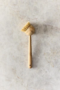BRUSH WITH INTERCHANGEABLE BRISTLES