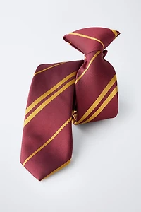 HARRY POTTER ™ COSTUME TIE