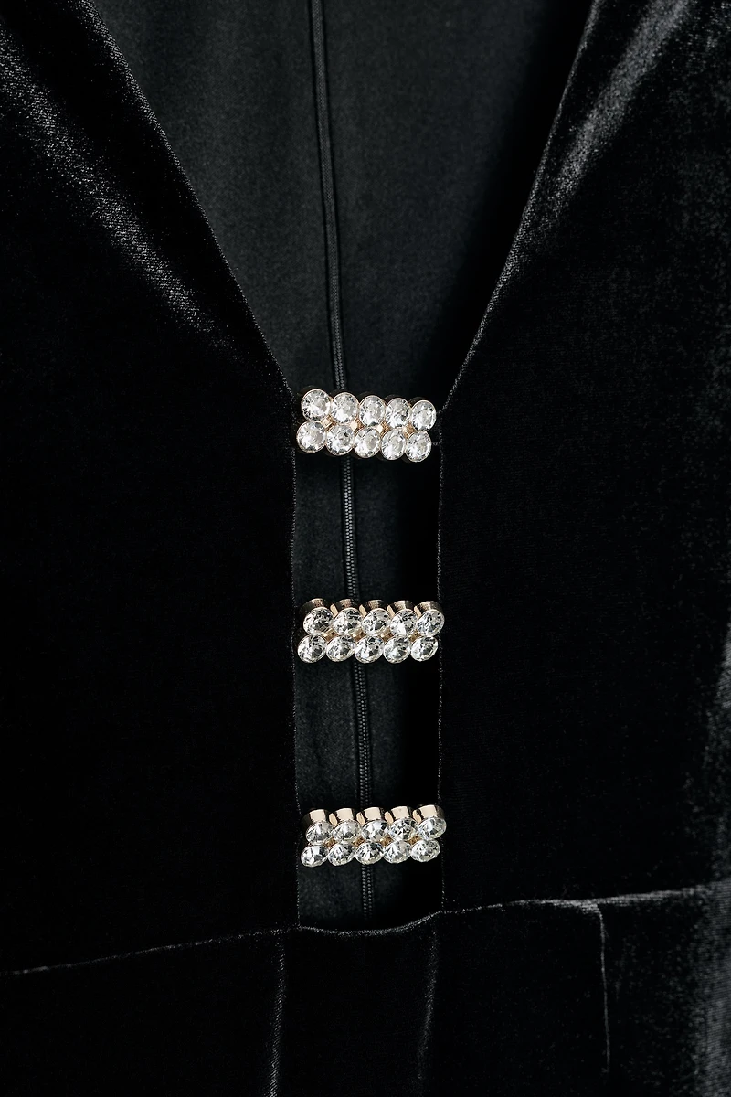 SHINY VELVET APPLIQUÉ MIDI DRESS