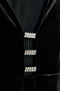 SHINY VELVET APPLIQUÉ MIDI DRESS