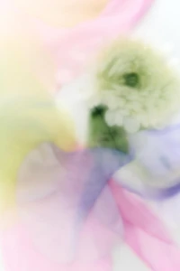 NUDE BOUQUET EDP 100 ML (3.4 FL. OZ).