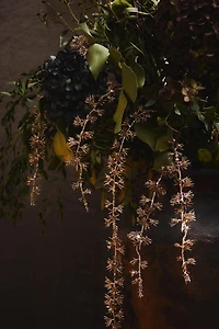 DÉCORATION BRANCHE ÉCLAT NOËL