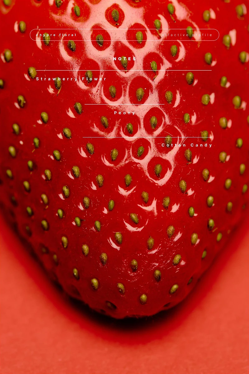 STRAWBERRY DRESS EDT 90ML (3.04 FL. OZ).