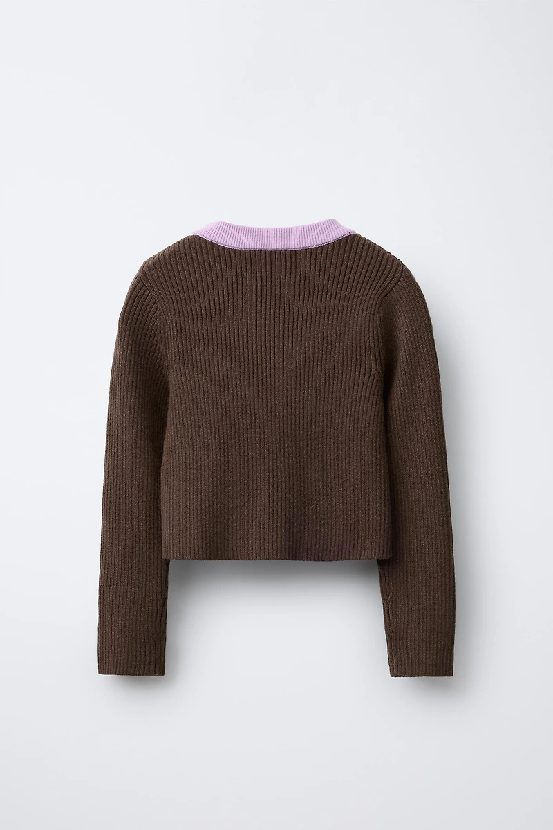 CHAMPION ® X ZARA CONTRAST COLLAR RIBBED SWEATER