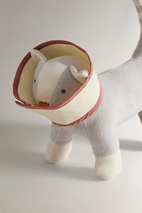 CHILDREN’S VETERINARIAN CASE