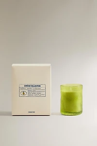 G) BERGAMOT & SANDALWOOD SCENTED CANDLE