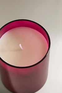 (220 G) BOUGIE PARFUMÉE BOROSILICATE GINGERBREAD