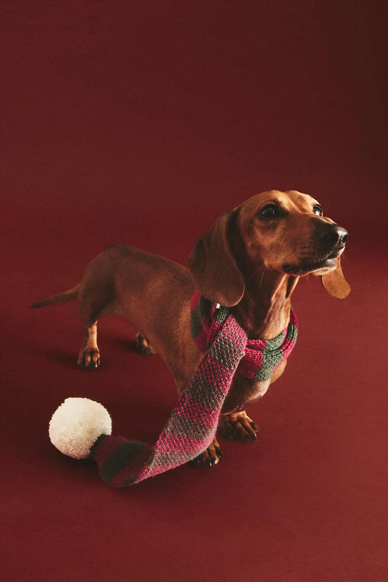 CHRISTMAS STRIPED SCARF PET