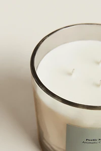 (620 G) POETIC MIND SCENTED CANDLE