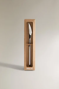 SET OF KNIVES WITH THIN HANDLE (SET OF 4)