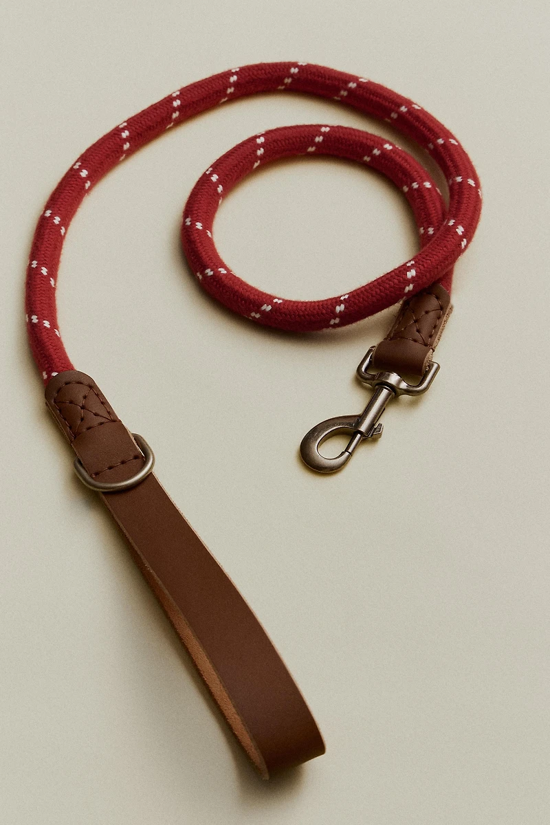 ROPE AND LEATHER PET LEAD