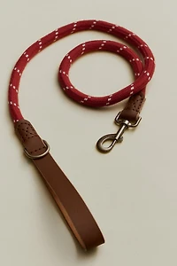ROPE AND LEATHER PET LEAD