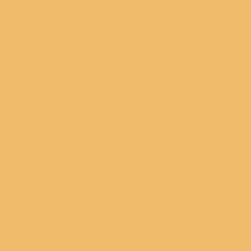 SPF 50 LIP GLOSS