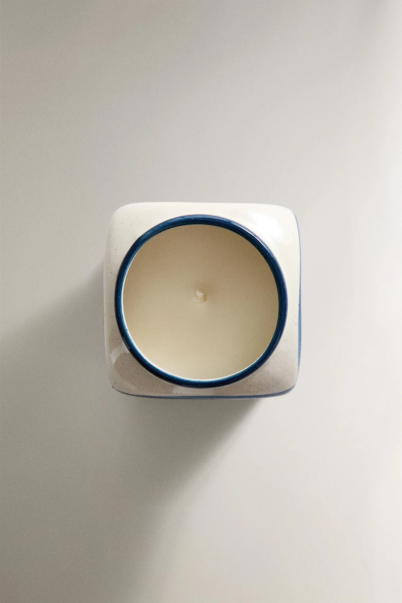 (320 G) CITRON SAUVAGE SCENTED CANDLE