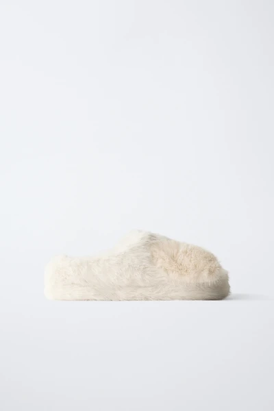 DOG SLIPPERS