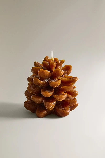 PINE CONE PUMPKIN SPICE SCENTED CANDLE