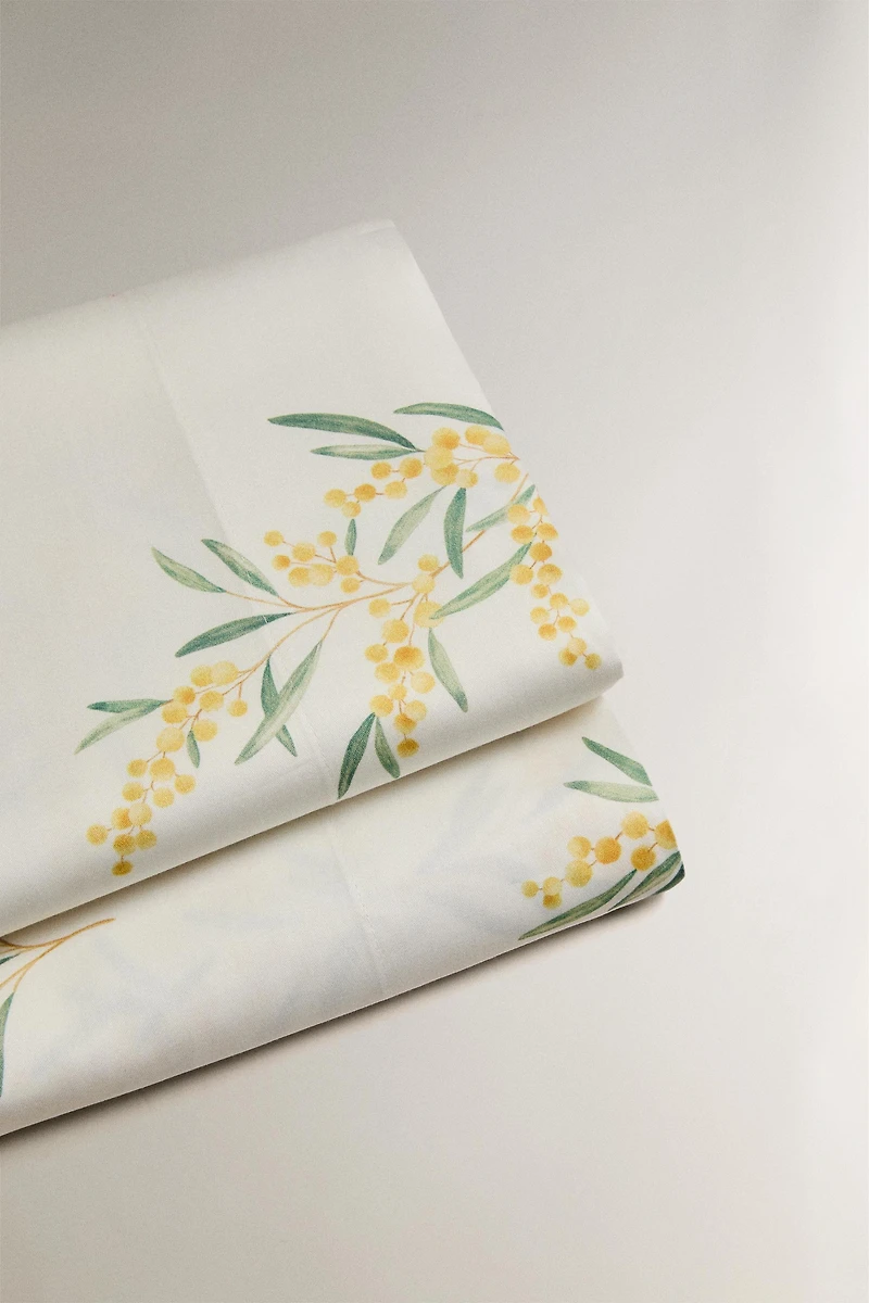 MIMOSA SATEEN FLAT SHEET