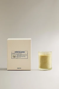 (155 G) BOUGIE PARFUMÉE VETIVER MELON