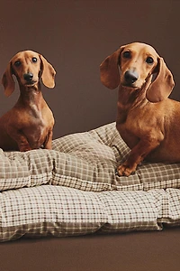 SUR-MATELAS CARREAUX ANIMAUX DE COMPAGNIE