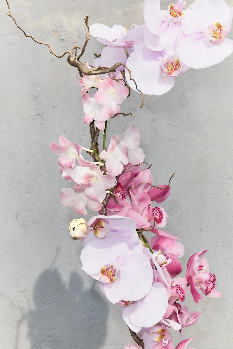 ORCHID EDP 180ML (6.08 FL. OZ).