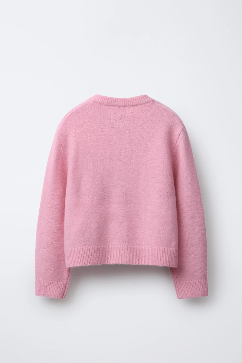 CHAMPION ® X ZARA PATCH CARDIGAN