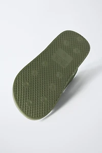 DINO SLIDES