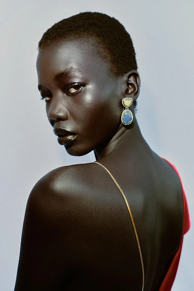 SHINY STONE EARRINGS