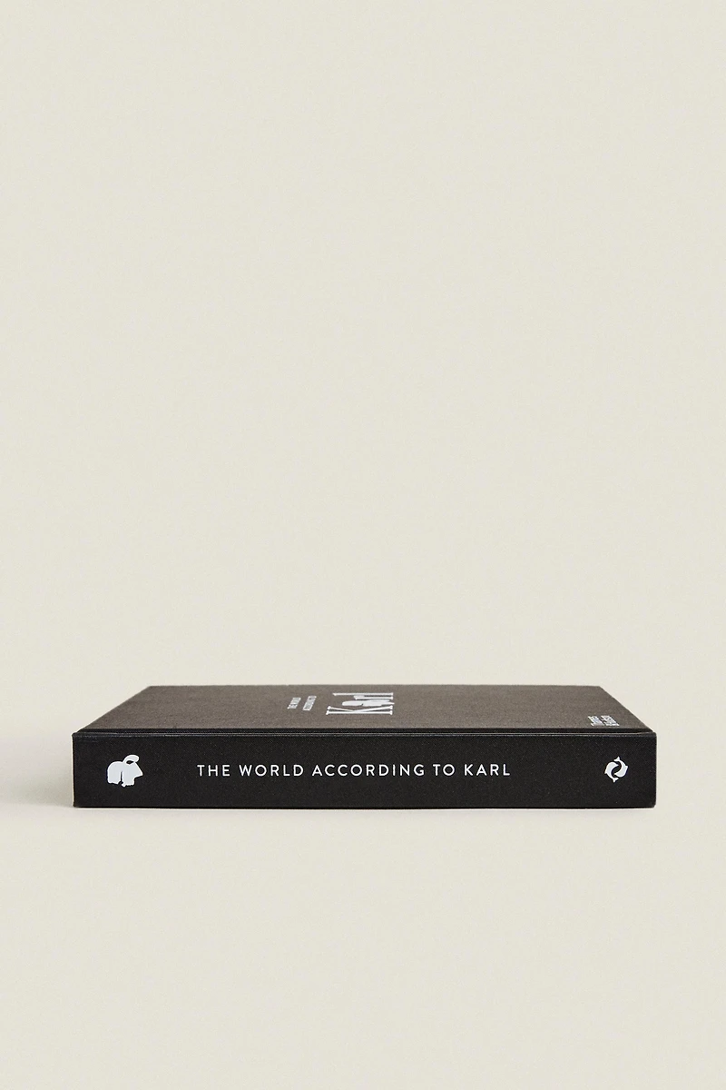 THE WORLD ACCORDING TO KARL BOOK
