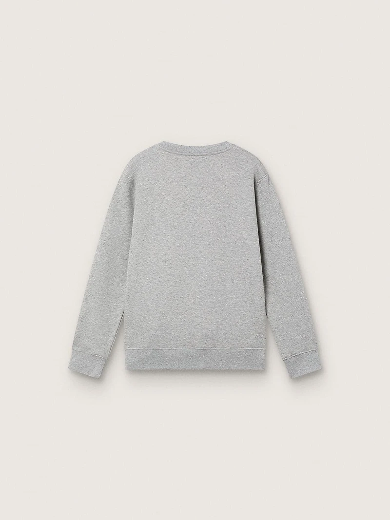 Journey crew neck sweatshirt for boys gray melange cotton with mascot print