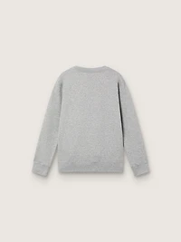 Journey crew neck sweatshirt for boys gray melange cotton with mascot print