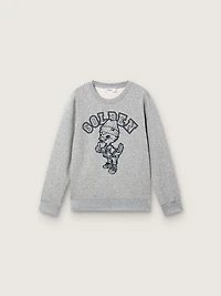 Journey crew neck sweatshirt for boys gray melange cotton with mascot print