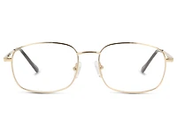 Seen SNCM01
