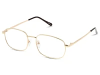 Seen SNCM01