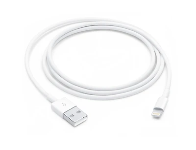 Lightning to USB Cable (1 m)