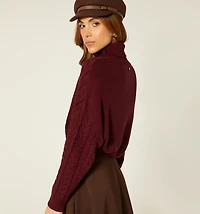 Turtleneck Knitted Sweater